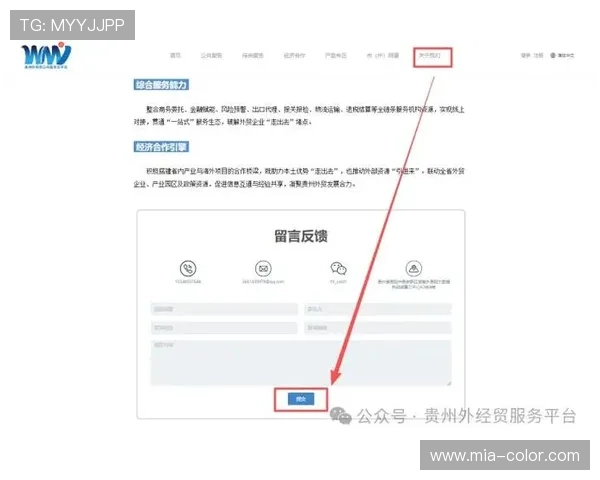 开云网页版客服中心用户反馈渠道,听取玩家建议优化游戏服务体验