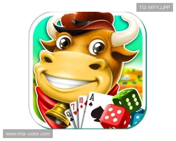 最新开云体育官方安装版本介绍与下载安装完整流程分享